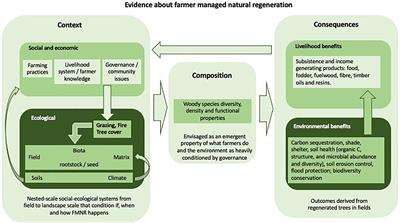 Opportunities and Constraints for Using Farmer Managed Natural Regeneration for Land Restoration in Sub-Saharan Africa
